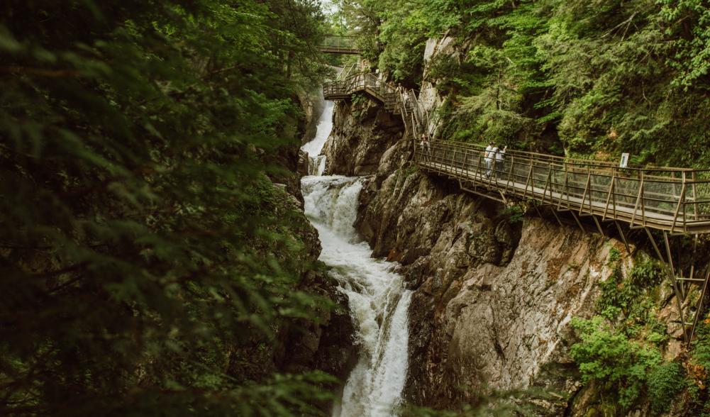 A gorge in the woods with a rushing waterfall in the middle.