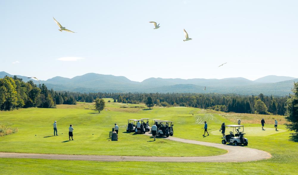 Golfing on a sunny day with birds flying overhead.