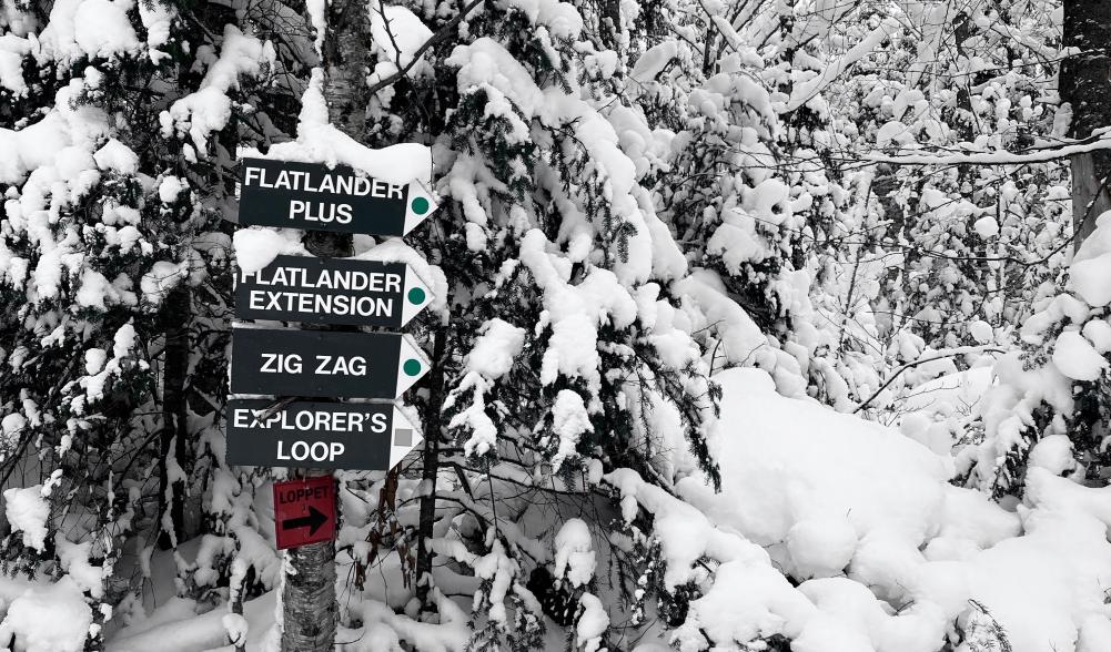 Cross-country ski trail with trail signs.