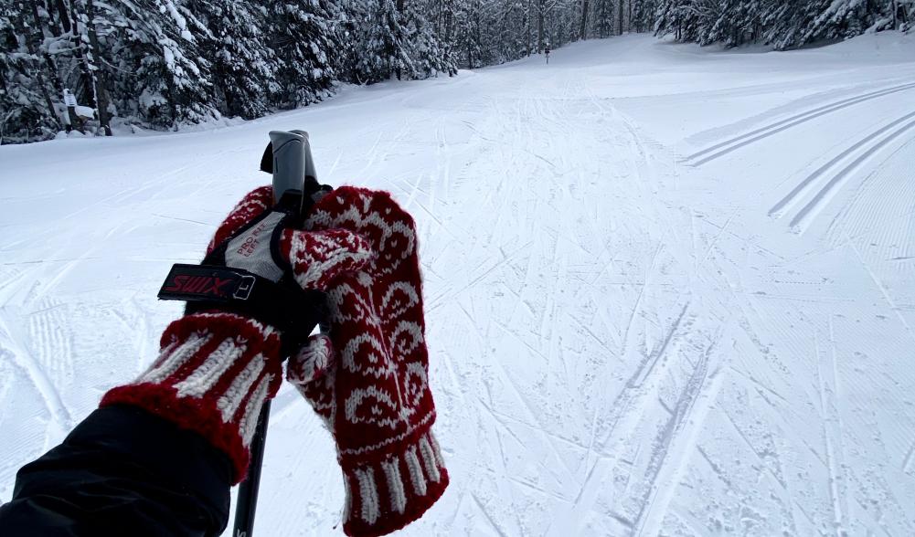 View of cross-country ski trail in winter.