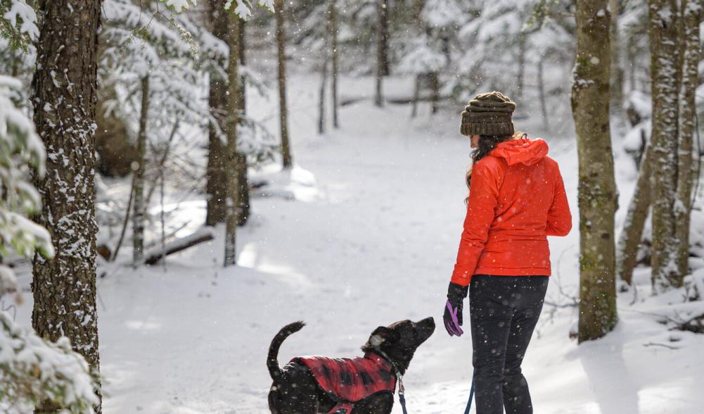 A woman and dog enjoy a snowy walk at Henry's Woods.