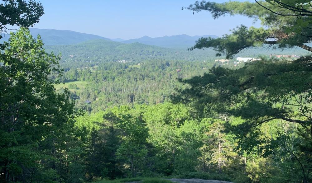 A rocky ledge offers a view of mountains and forest.