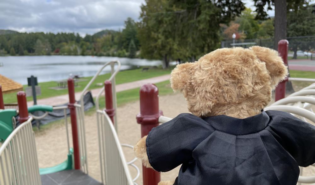 Close up of a teddy bear's back perched on the top of a slide on a playground.