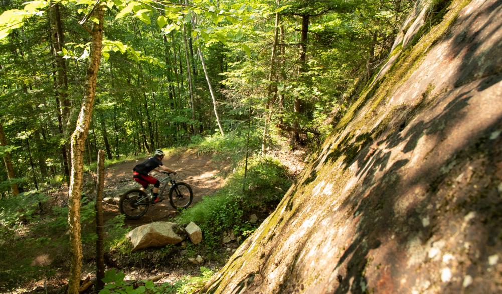 A man rides his mountain bike on a trail through the woods