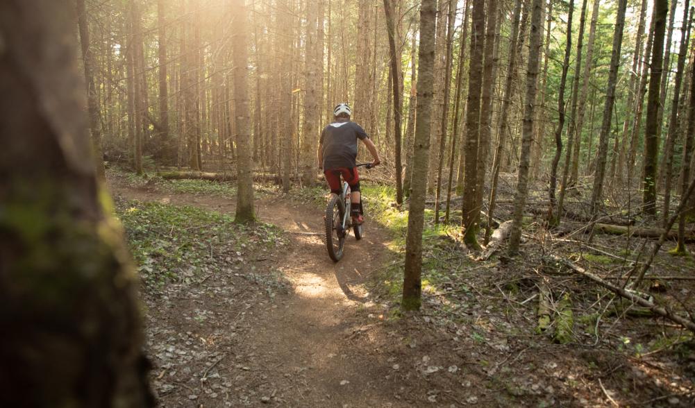 A man rides his mountain bike on a trail through the woods