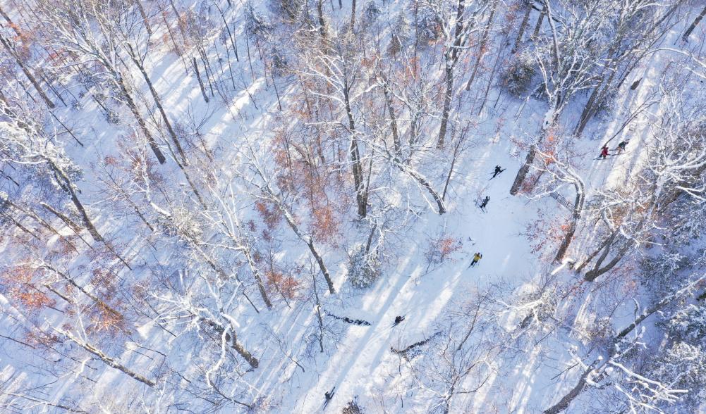 An aerial view of a group of people cross-country skiing down a windy woods trail.