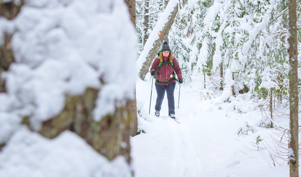 A woman with blonde hair and a maroon coat skis in a snowy forest.