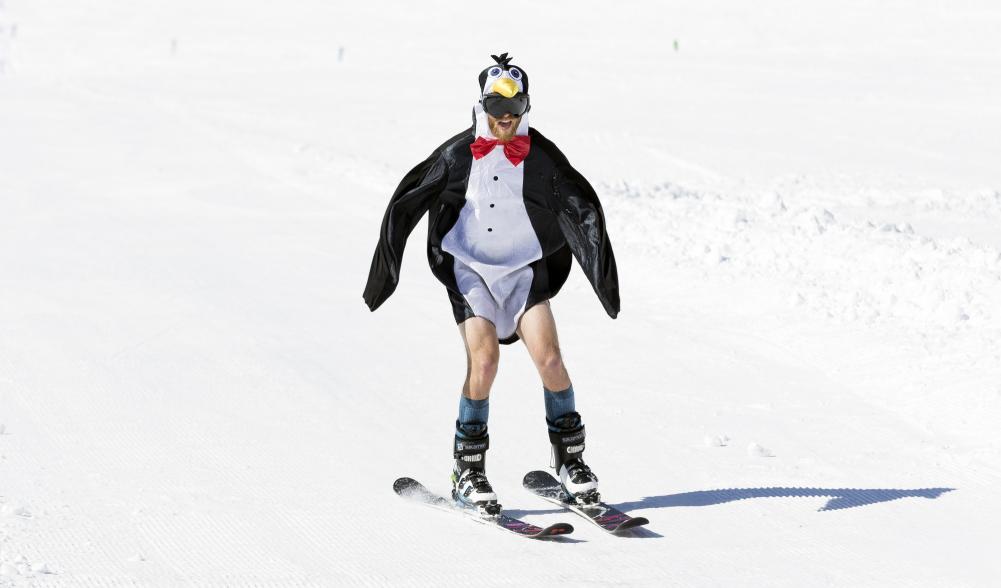 A skier flies down the mountain wearing a penguin costume