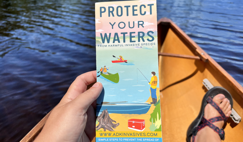 A brochure held in a canoe that explains that harmful effects of invasive species with a graphic.