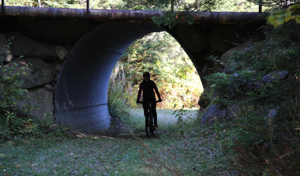 A biker rides under a bridge