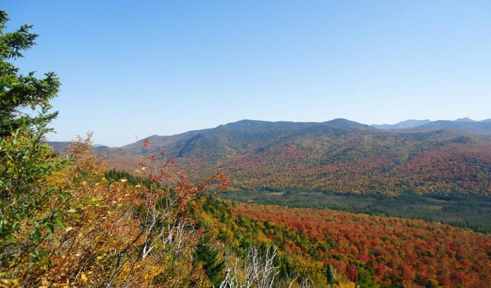 Vibrant orange fall foliage with distant mountains and a valley.