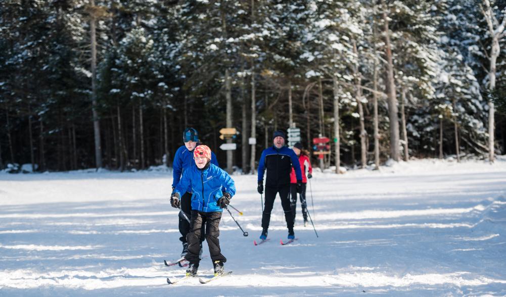 A family skis in a line on a cross-country snow trail.