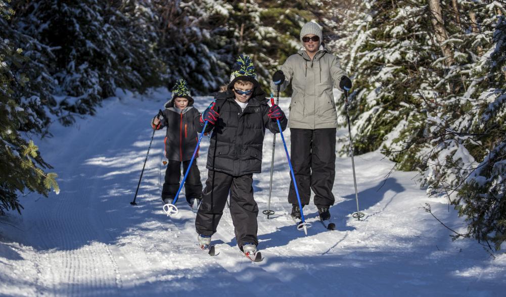 A family of three cross-country skis down a snowy trail surrounded by evergreens.