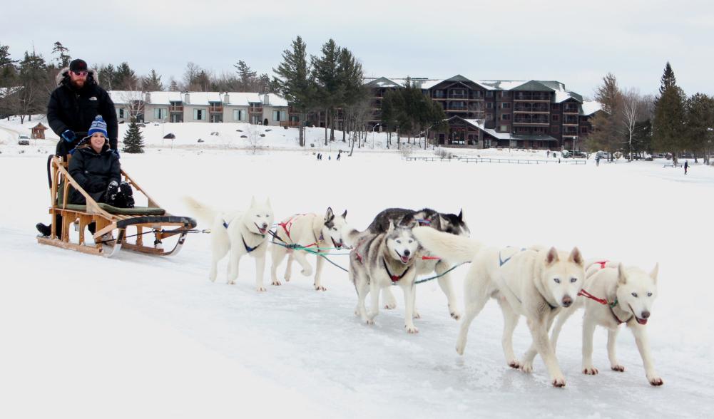 a musher and his dog sled team on the lake