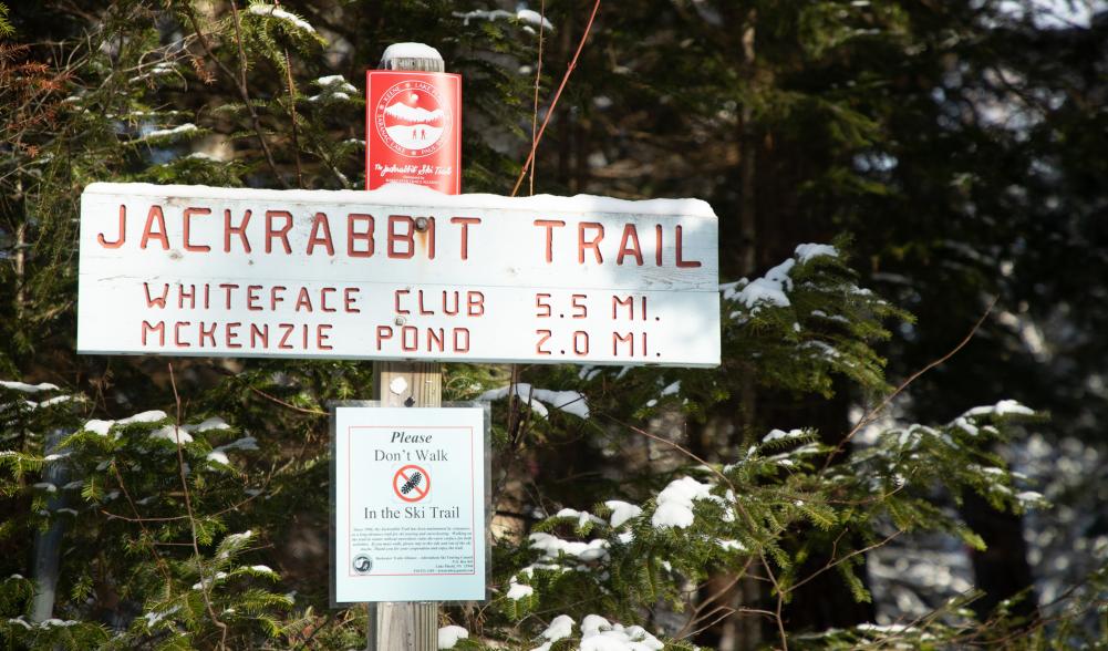 A carved wooden trail sign for the Jackrabbit Trail shows distances to the Whiteface Club and McKenzie Pond.
