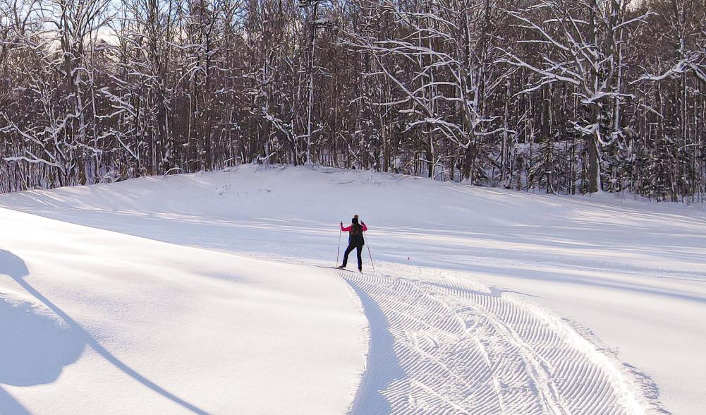 A solo cross-country skier crosses an open field.