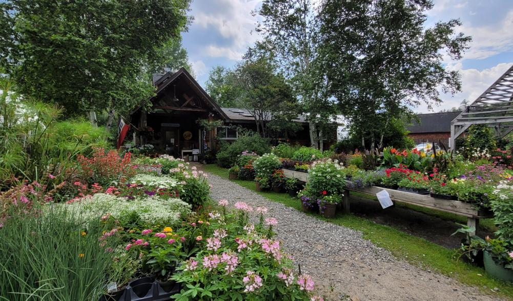 The exterior of East Branch Organics in Keene NY with lots of flowers and a wooden building at the end of a stone path