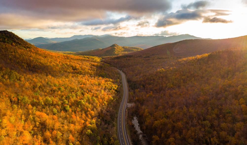 A valley of foliage with a road cutting through it.