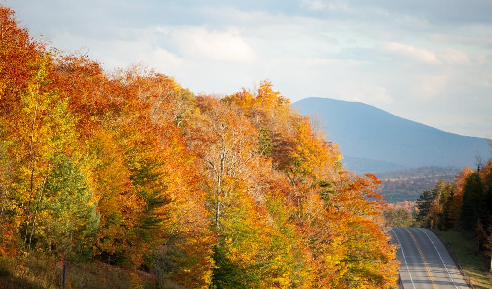 A road cuts through mountains with fall foliage.