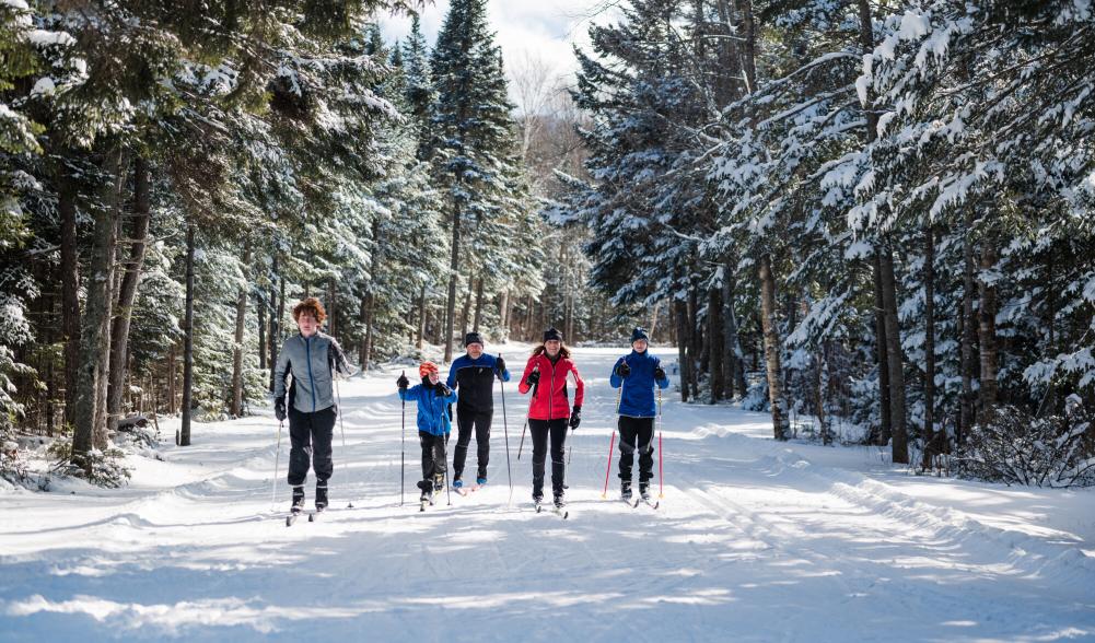 A family cross-country skis on a snowy trail.