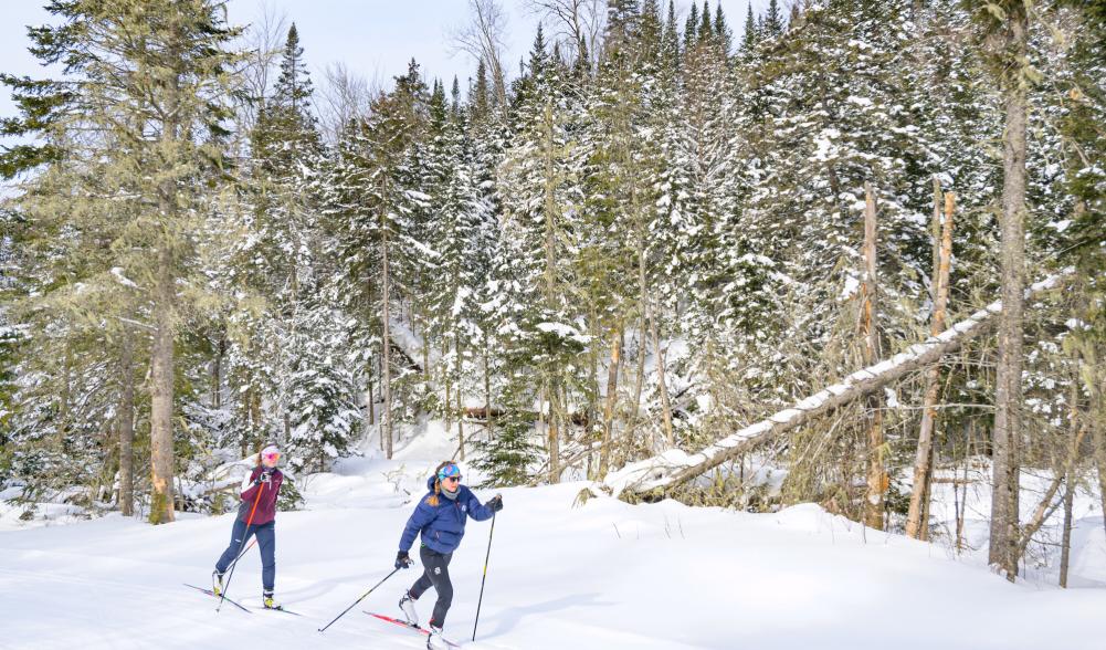 Two women cross-country ski on a clear day in the woods.