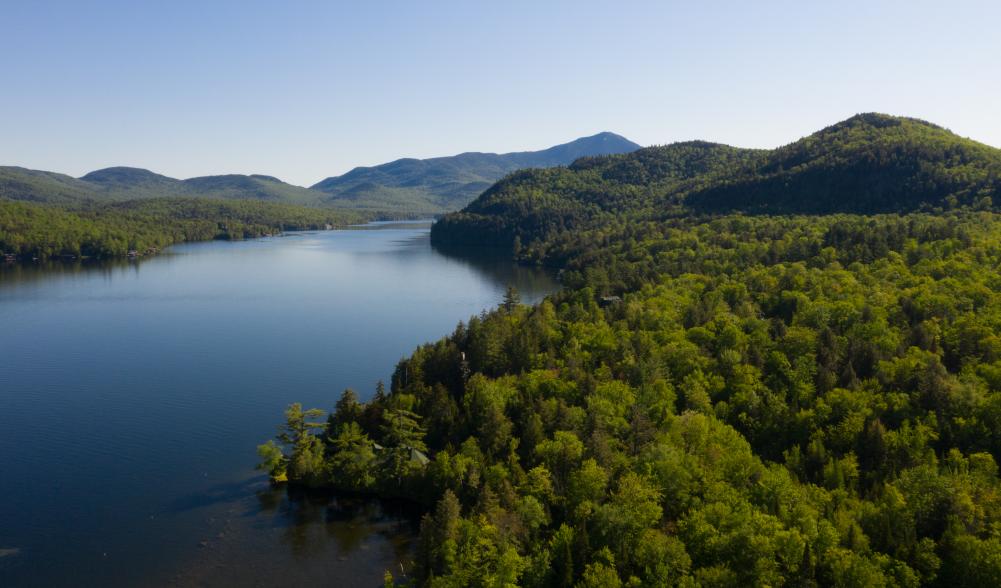 An Aerial view of Lake Placid, surrounded by forests.