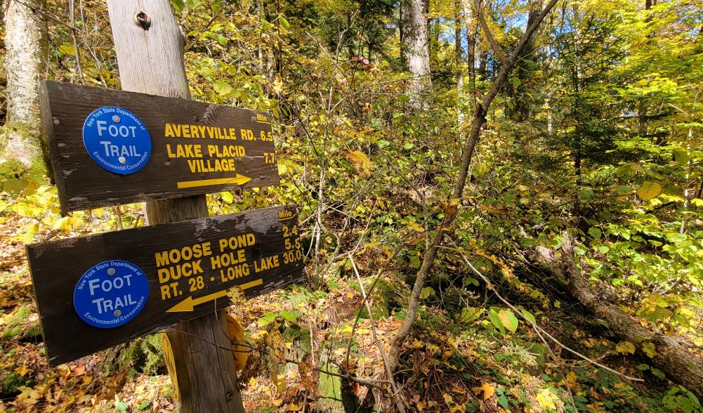 A wooden trail sign with yellow lettering
