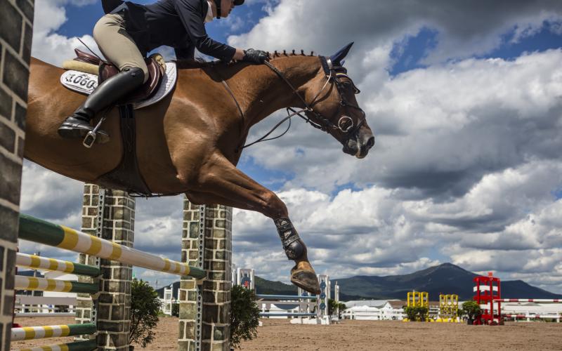 Horse Jumping in Lake Placid