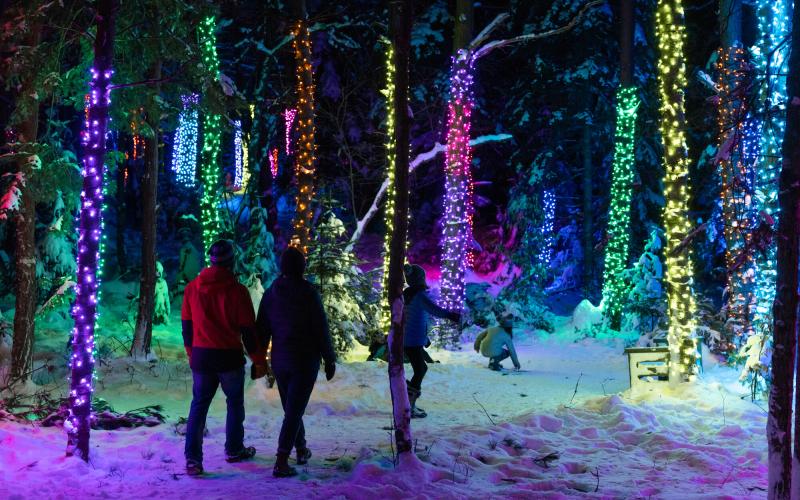 Family walking through woods covered in lights.