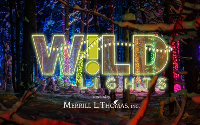 Outdoor lights with the Wild Lights logo