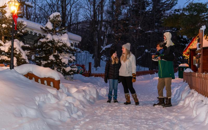 Village of Lights family
