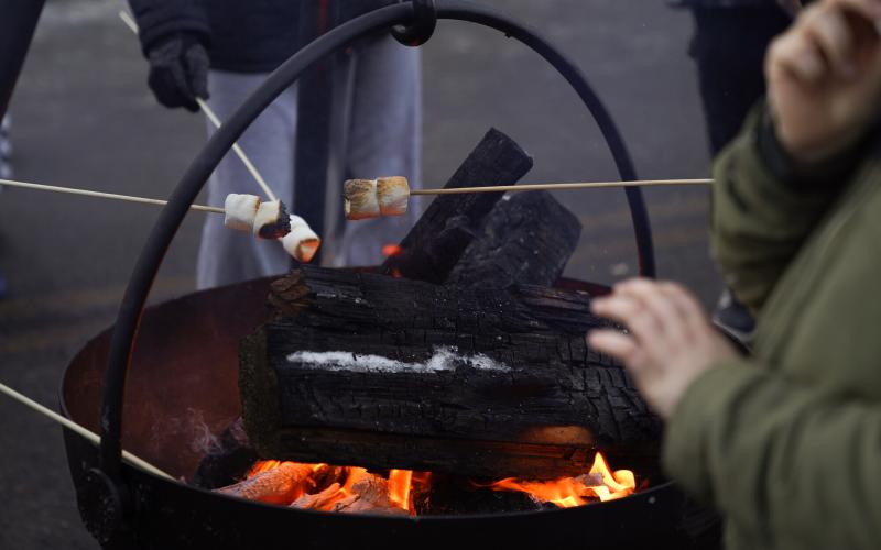 Fire pit with marshmallow roasting