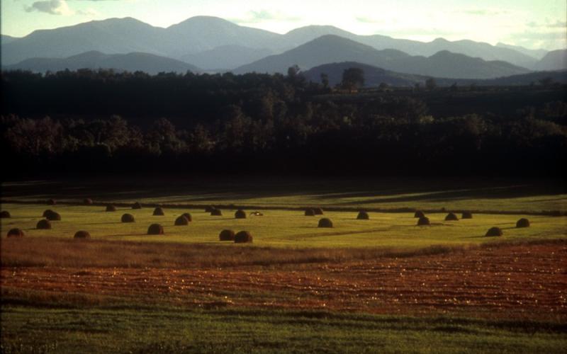 Mountains behind a large field