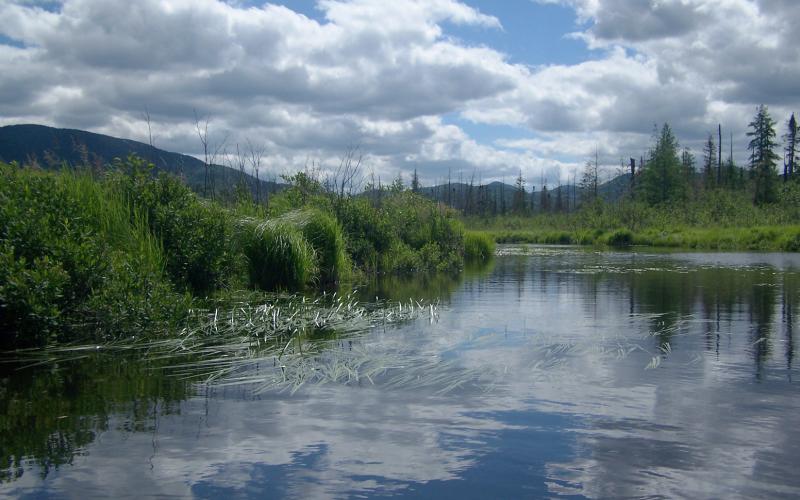This river is bulked up from the dam in Lake Placid.