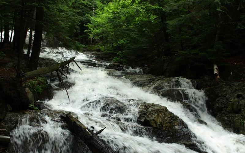 A cascading section of water