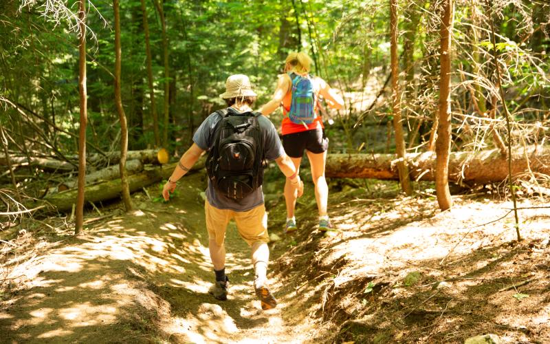 Keep to the trail to prevent erosion.