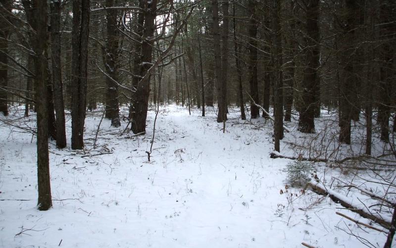 The trails at Beaver Brook are of a wide array of difficulties and terrain.
