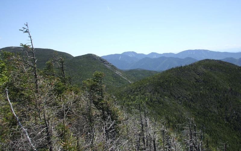 High Peaks view of several mountains.