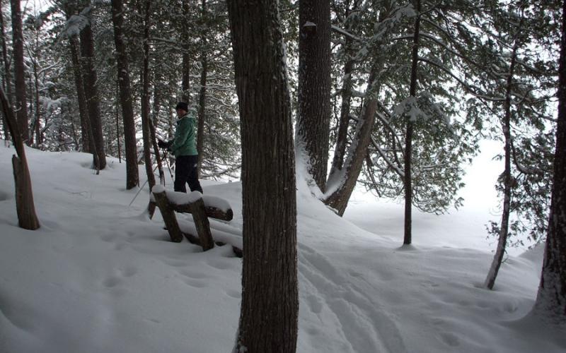The lakeside trails are especially popular to ski on.