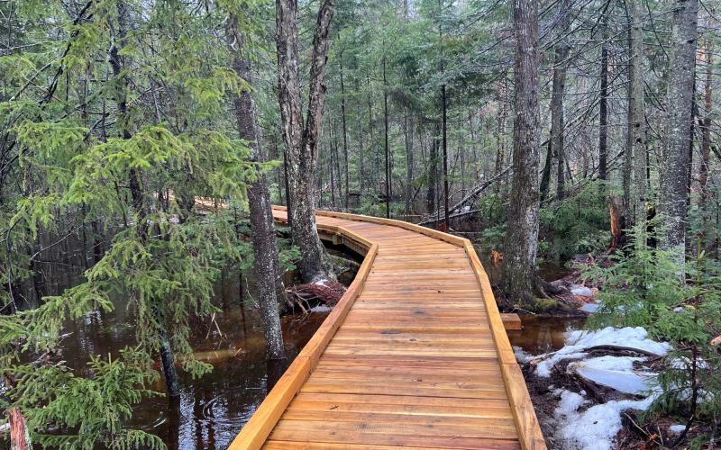 A new wooden boardwalk weaves through trees