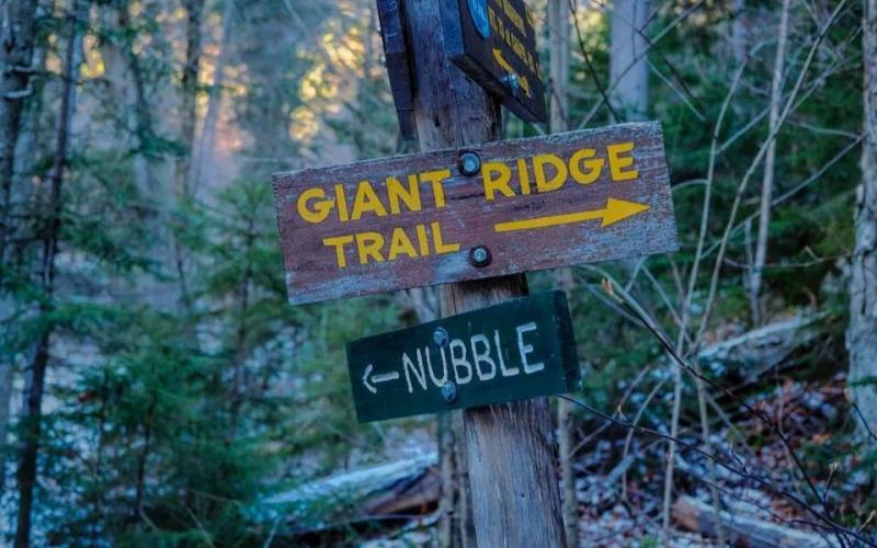Look for the Giant Ridge Trail at the intersection.