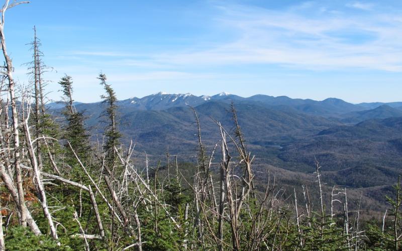 An extensive view of green mountains