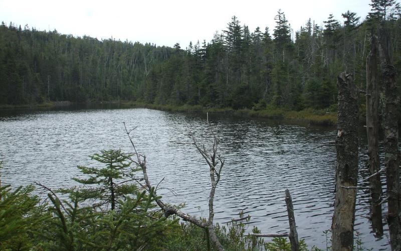 A day hike with stunning
