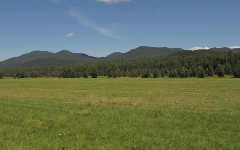 Much of this land is farmed.