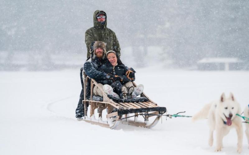 People taking a dog sled ride