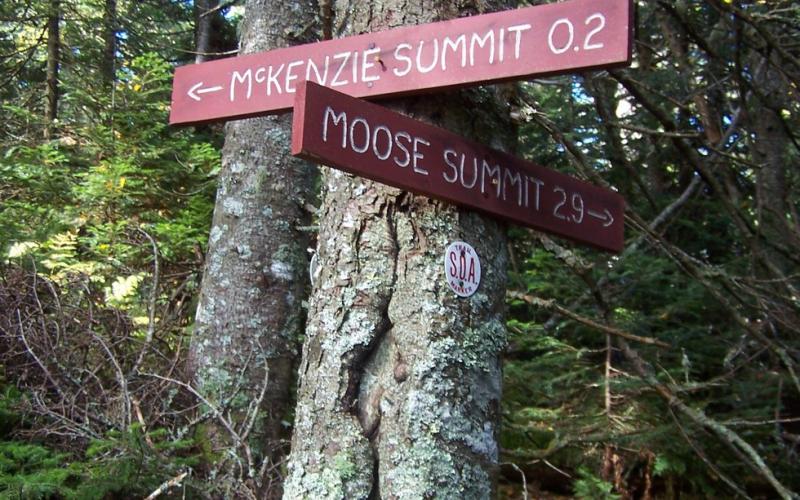 Keep a lookout for the trail junction sign.