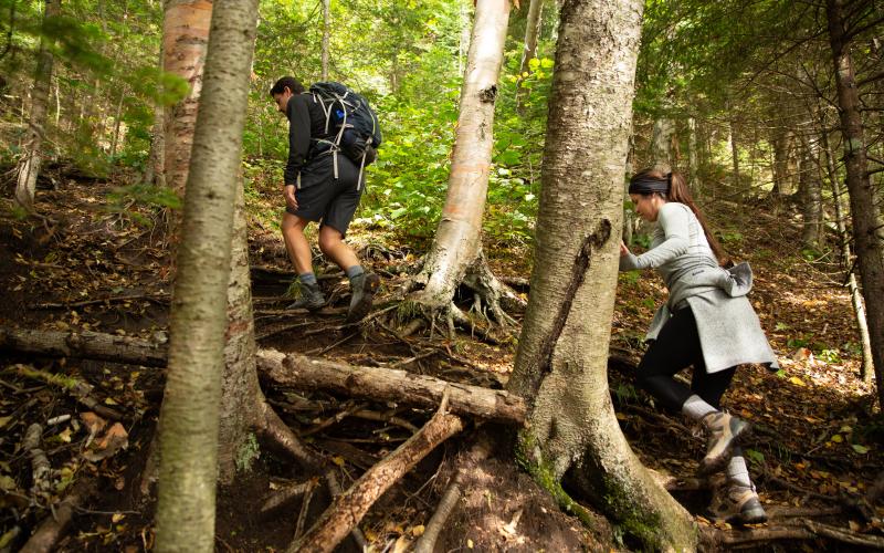 Two hikers climb the trail on McKenzie Mountain