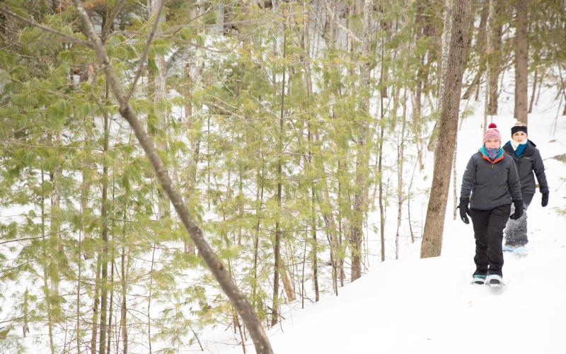 Scenic and sunny trail in the winter