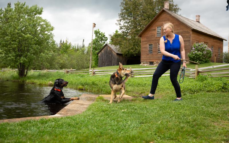 Dogs are welcome at John Brown's Farm.