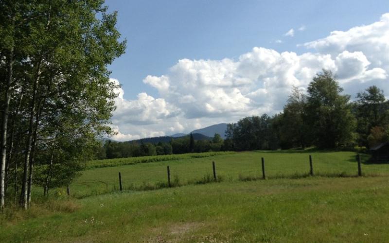 Country vistas appear in a mostly unlikely place on Bear Cub Road.